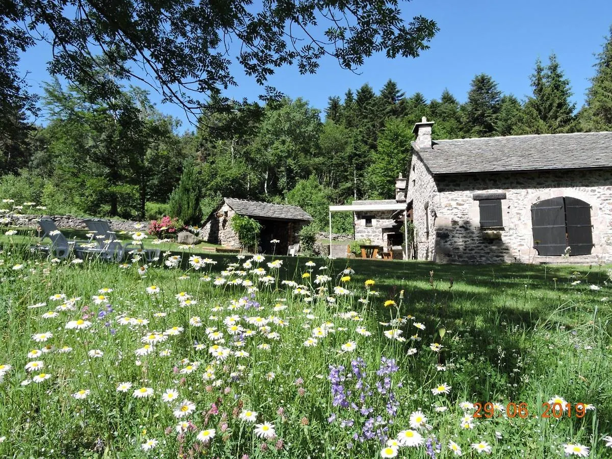 Holiday home Maison Isolee, Au Coeur Des Volcans, Terrain Clos, Jeux, Confort, Cheminee, Proche Forets Et Villages. - Fr-1-582-285 Queyrieres